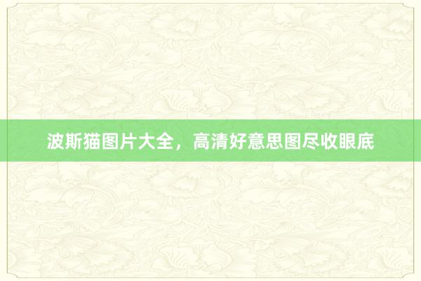 波斯猫图片大全，高清好意思图尽收眼底