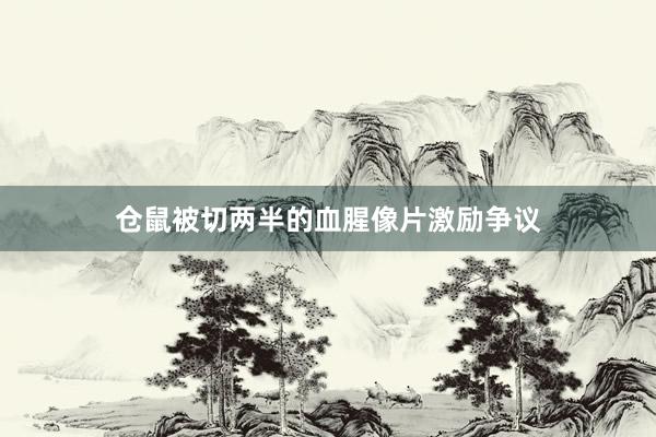 仓鼠被切两半的血腥像片激励争议