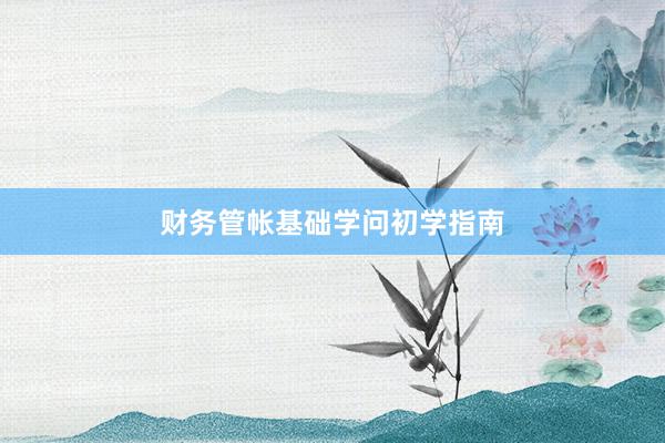 财务管帐基础学问初学指南